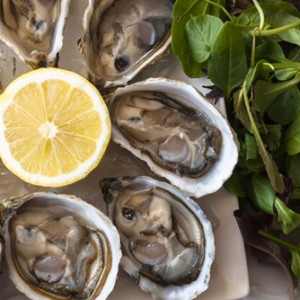 specialty oysters